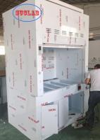 Custom 220V/110V Voltage Chemical Fume Hood with Scrubber Solutions and LED Lighting Performance