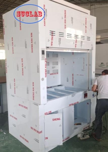 Custom 220V/110V Voltage Chemical Fume Hood with Scrubber Solutions and LED Lighting Performance