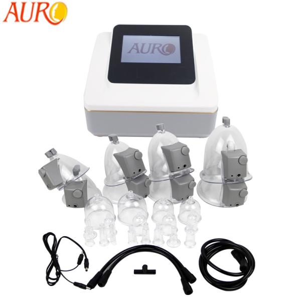 Beauty Salon Breast Enhancement Machine Ems Photon Vacuum Suction Cup Therapy Butt Lift Firming