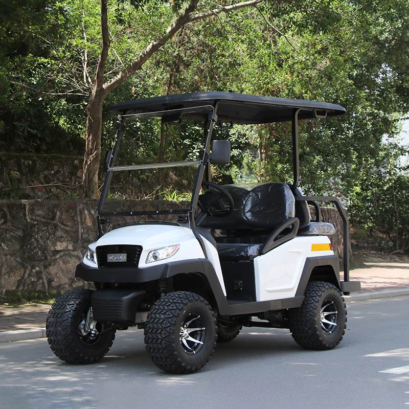 EXCAR Electric Hunting Buggy With Trojan Battery/Curtis Controller