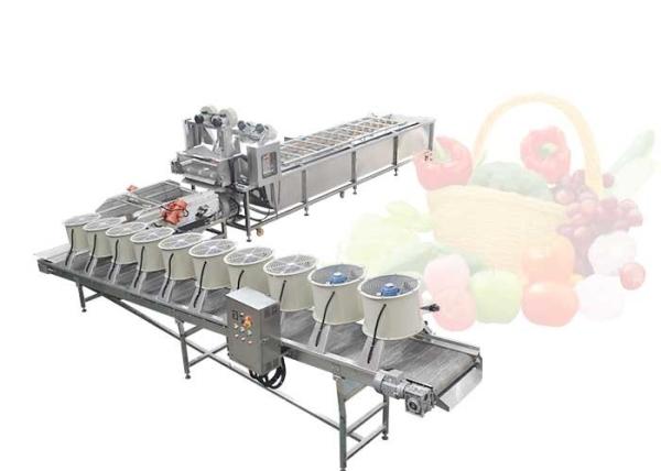 Efficient Customized Fruit And Vegetable Washing And Drying Production Line