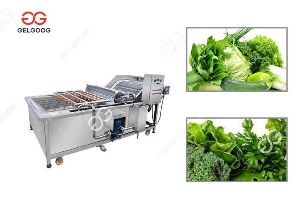 Ce Certified Stainless Steel Fruit Processing Machine Fruit Mango Apple Washing Machine