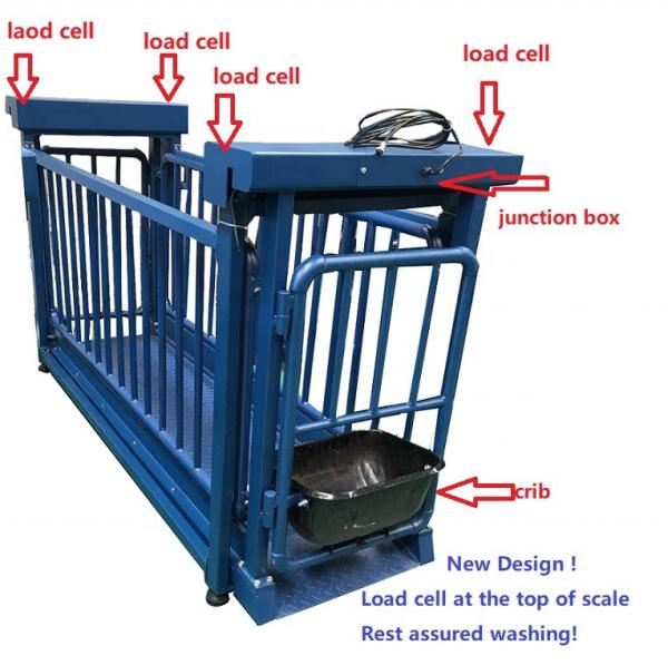 Boîte de jonction en acier inoxydable JB01 Balance électronique de pesage du bétail pour moutons et chèvres 500g Précision OEM ODM Supporté