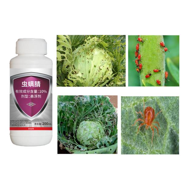 ODM 10% Chlorfenapyr SC Pesticidas para árvores frutíferas Insecticida para insetos do arroz