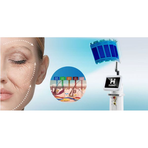 LED PDT Light Therapy Machine 5 Color Skin Rejuvenation Healing System For Clinics