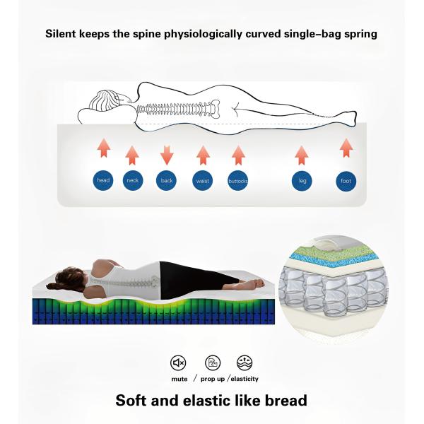 Experience Ultimate Comfort JOURM Five-Star Anti-Mite Mattress with Fabric Cover