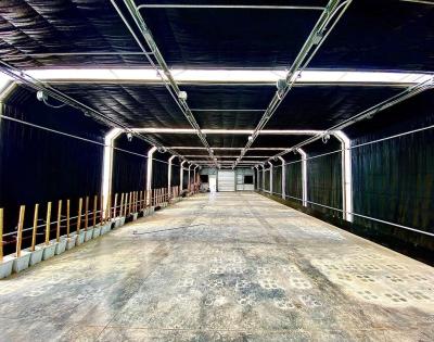 Estufa comercial de várias faixas com vista floral final e terraço de vidro listrado
