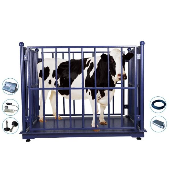 масштабы поголовья 2M веся, машина веса коровы 2000Kg