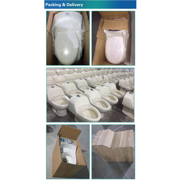 Высокая эффективность удваивает приток шар туалета 2 частей вытянул 470x360x400mm