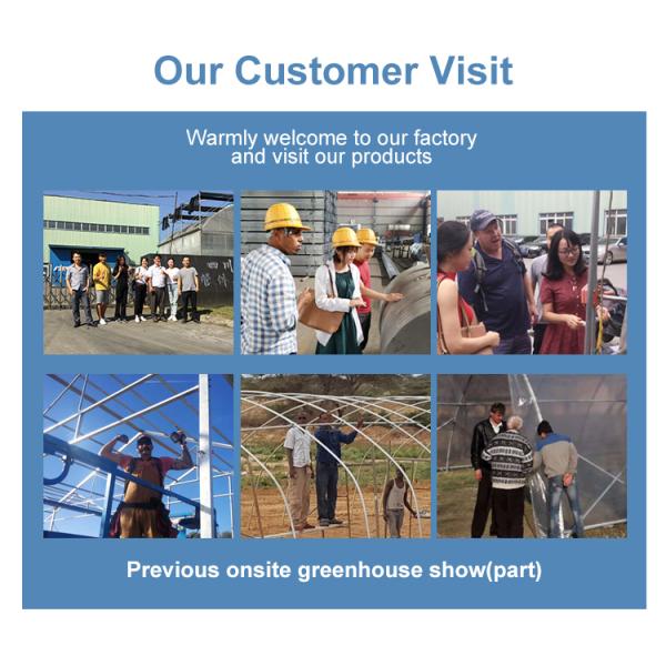 Одиночный пядь 150/200 микрон теплиц полиэтиленовой пленки пленки ПЭ аграрное вертикальное земледелие