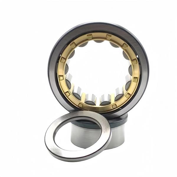 95*170*32mm NUP219EM Cylindrical Roller Bearing NUP219ECM with Open Seals