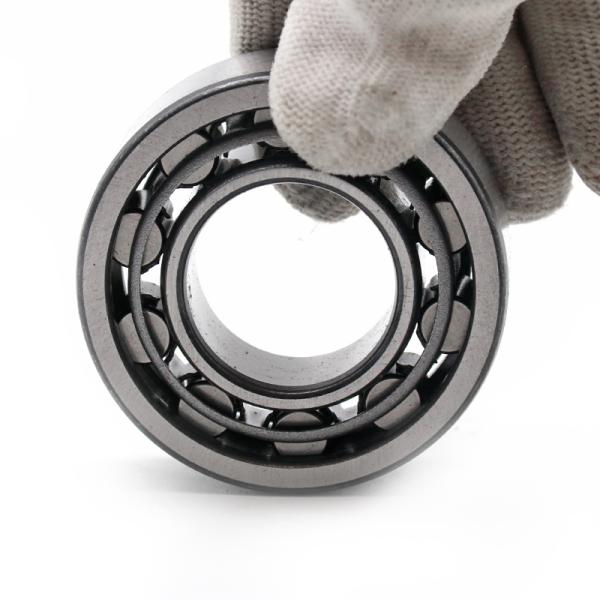 Les roulements à rouleaux à rouleaux cylindriques N205 NJ205 NU 205 ECML/C3