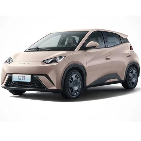 2023 BYD Seagull Flying Edition with Forerunner Drive Mode and 405km Full Electric Car