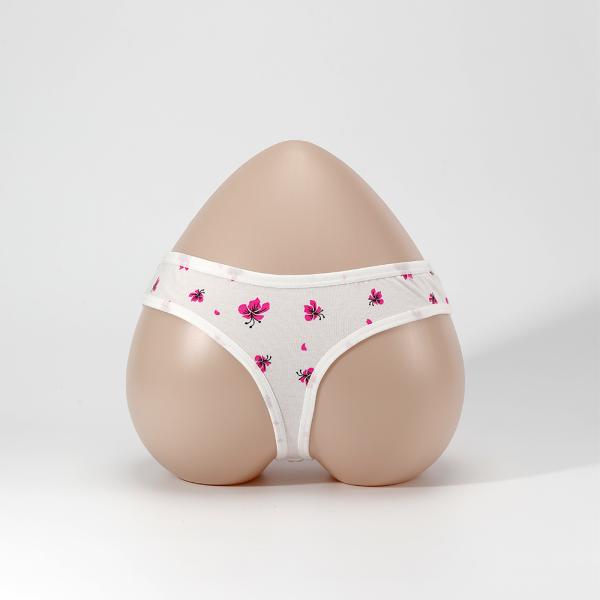 Women Thongs Panties Underwear Cotton High Quality Thongs Women Lingerie 12pcs/dozen Mix Colors Printed Thongs for Women