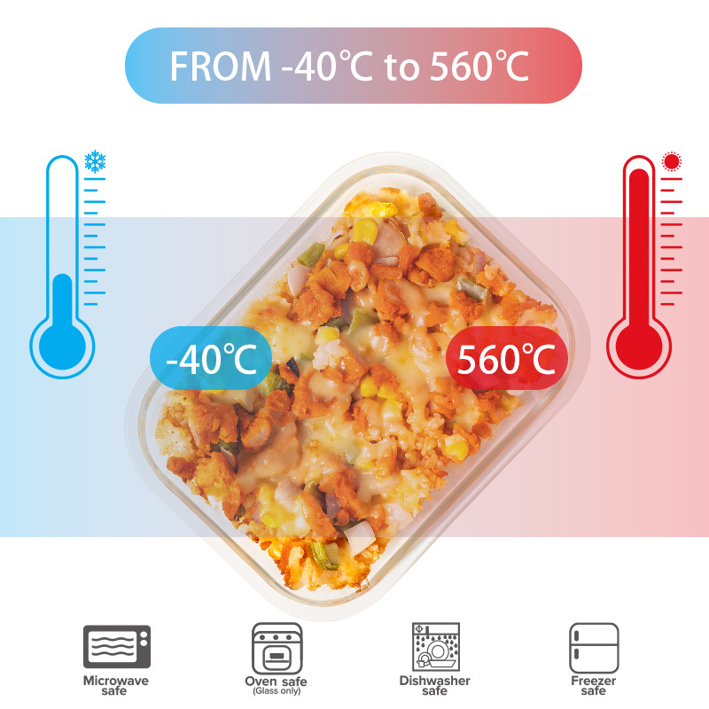 IKOO Borosilicate Glass Food Container with Vented 4 Lock PP Lid
