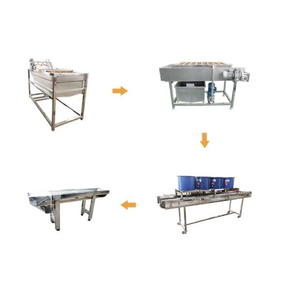 Commercial Industrial Washing Machine For Sale Vegetable and Fruits