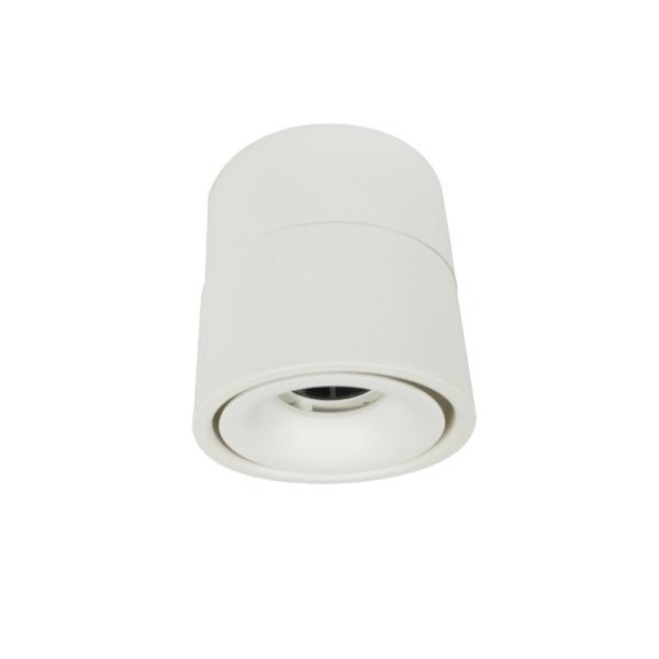 Surface Mount TUV Spotlight Commercial Track Lights 24deg Beam Angle 11cm