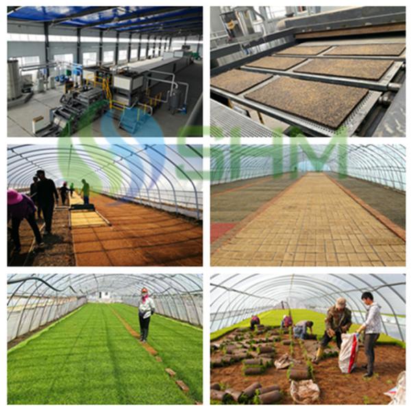 Биоразлагаемая машина для изготовления детских подносов Автоматическая с питательной матрицей