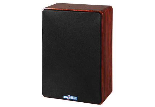 10 inch main channel 5.1 home theater ktv speaker system VS10