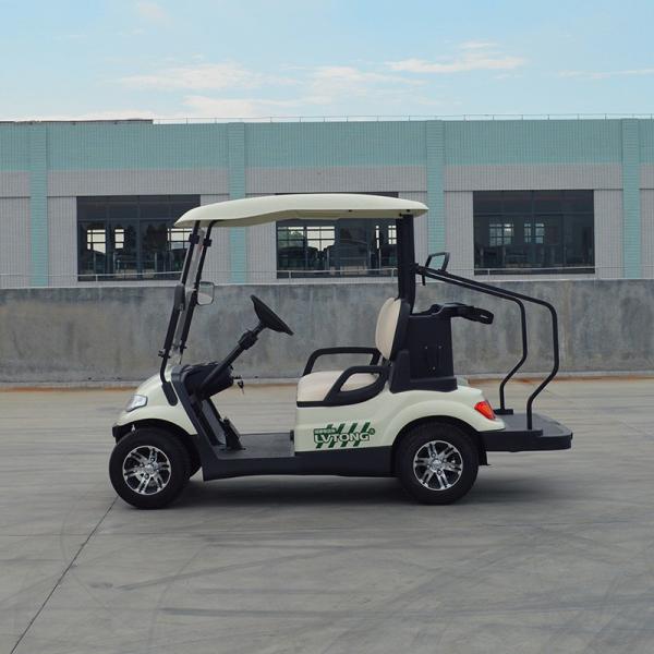 Electric Golf Scooter 6 8 Seats Hunting 2 4 Seater With Curtis Controller