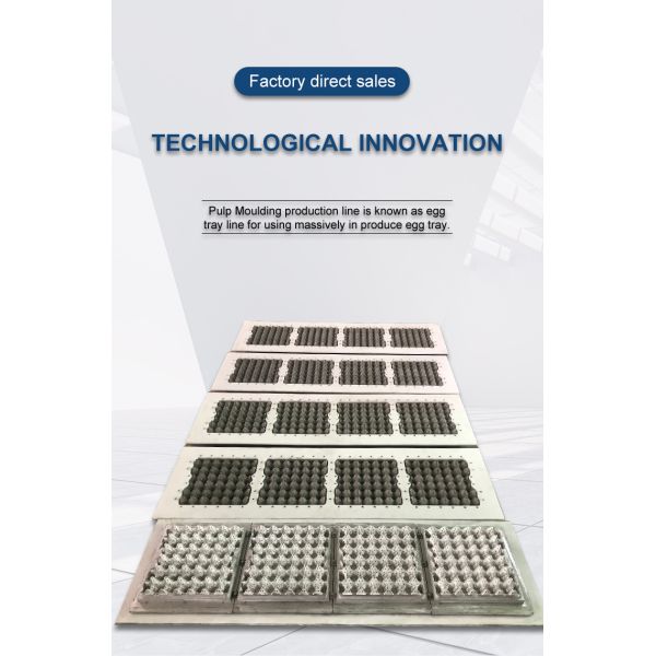 Custom Aluminum Egg Tray Mold CE Certified with Video Technical Support for Pulp Molding
