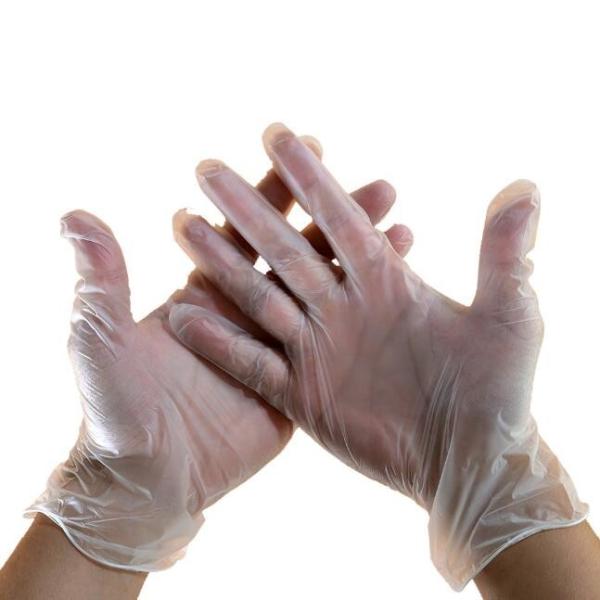 Long Disposable Vinyl Glove No Natural Latex Protein For Food Preperation