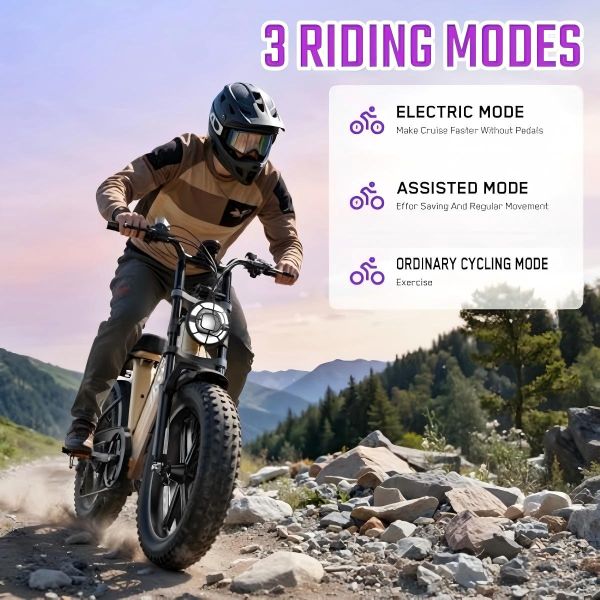 R7 Electric Multi-Purpose E-Bike Brushless Steel Frame Dual Suspension Disc Brake Rear Hub Motor 15AH Electric Utility Bike