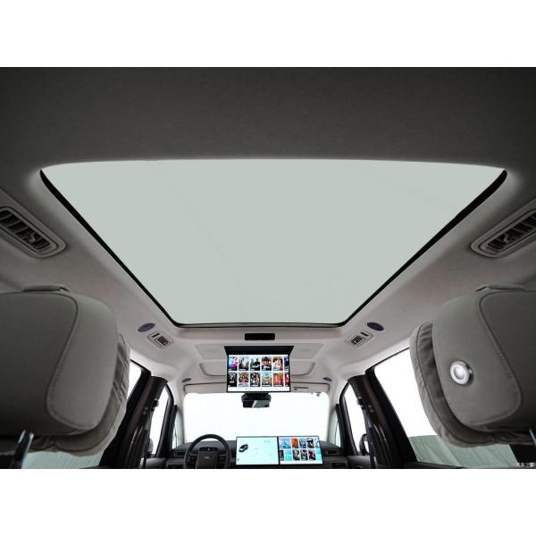 Электрический MPV Li Mega EV Car Luxury 7 Seat Long Range Двухмоторный 4WD Чистый электрический автомобиль