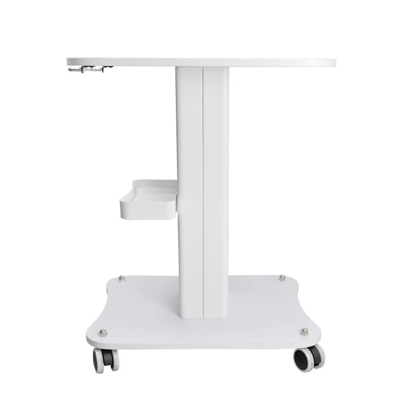 Beauty Salon Trolley Cart With Wheels Beauty Machine Rolling Stand Trolley For Spa Salon Equipment