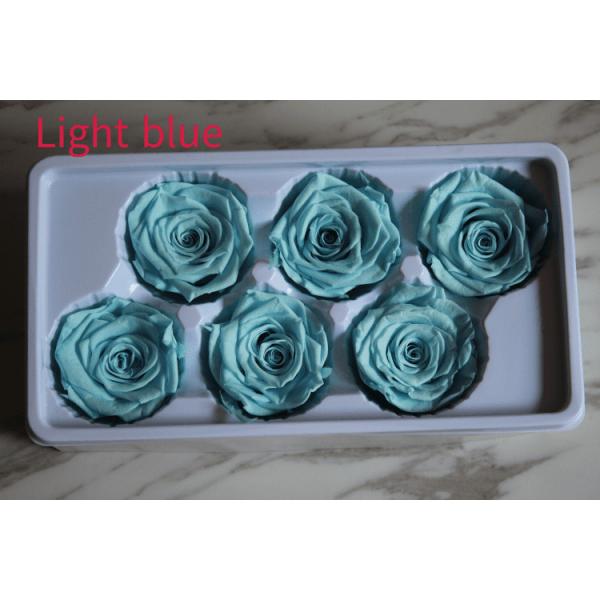 beautiful preserved rose flower A grade stabilized rose preserved long lasting eternal rose 4-5cm