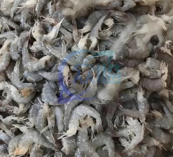 Shrimp head and shell sorting machine cleaning machine processing plant assembly line Shrimp head removed