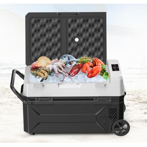 Specially Authorized IP Design Style 12-24V Car Electric Refrigerators for ACURA Fitment