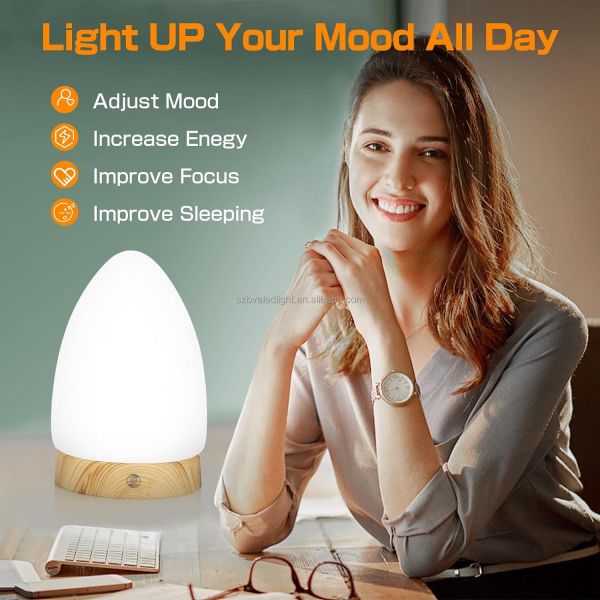 Dimmable Daylight Light Therapy Lamp OEM ODM Daylight Lamp With Timer