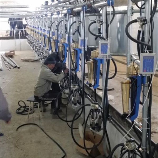 Flow Milk Meter Herringbone Milking Parlor System with ACR Automatic Cluster Remover and Waikato Milk Meter for Cows