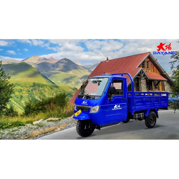 1000W Single Cyclinder 4 Stroke Motorized Tricycles for Pice de Moto Bajah Motorized