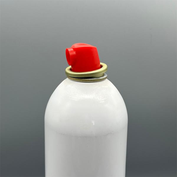 Professional Fire Extinguisher Valve Fittings High Pressure Tolerance for Industrial Use