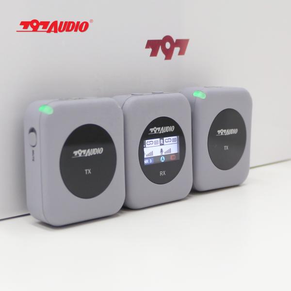 Wireless Microphone 2.4G Dual Channel USB Digital Output for Stage Ktv 20 Hz 20khz