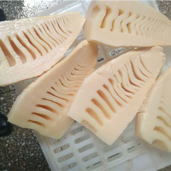 Hot Wholesale Chinese Fine Quality Freshly Slender Pickled Canned Bamboo Shoots Cut Into Halves