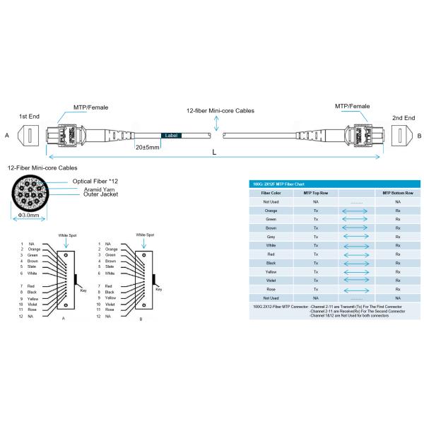 OM3 OM4 Pre Connector Femaile To Male MTP Trunk Cable