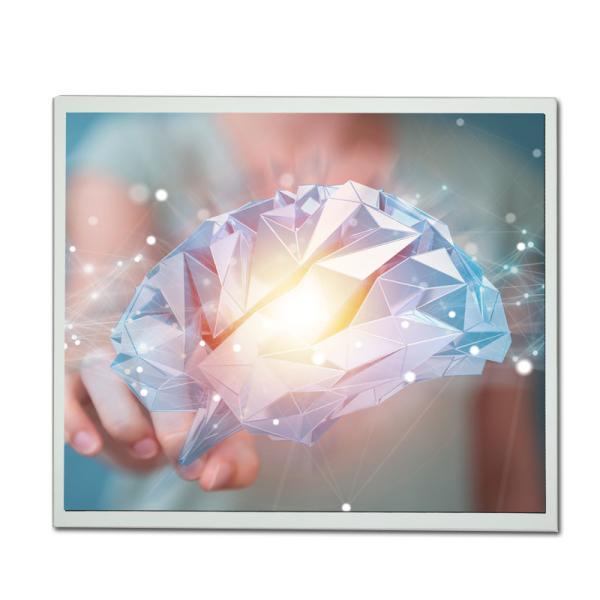17 Inch DV170E0M-N10 BOE LCD Panel 250nit IPS Screen Viewing Angle