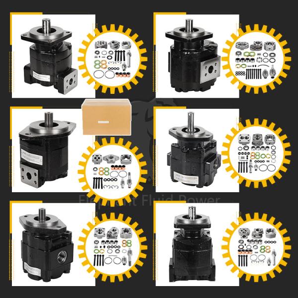 En stock, pompe en fonte Parker P365a478ecab22-11 pompe hydraulique et pièces détachées pour machines de construction