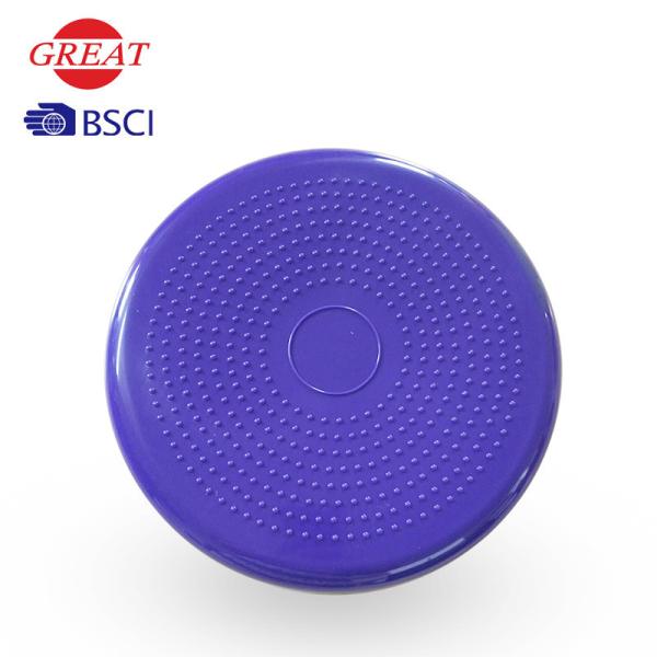 Exercise Massage Cushion Pad Customized Color 33/37/40cm Diameter