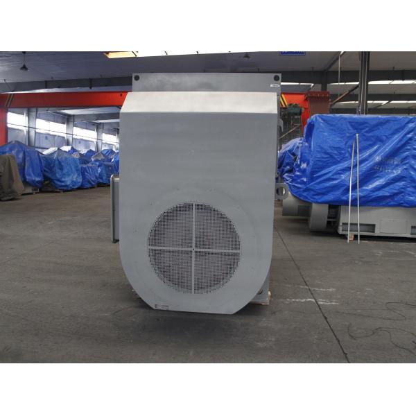 6kV IP54 HV Three Phase AC Motor 1485 RPM AC Asynchronous Motor