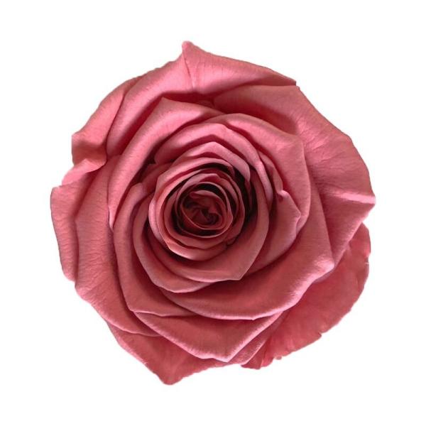 natural preserved roses at cheap price Everlasting Flowers Home Decoration Christmas gift