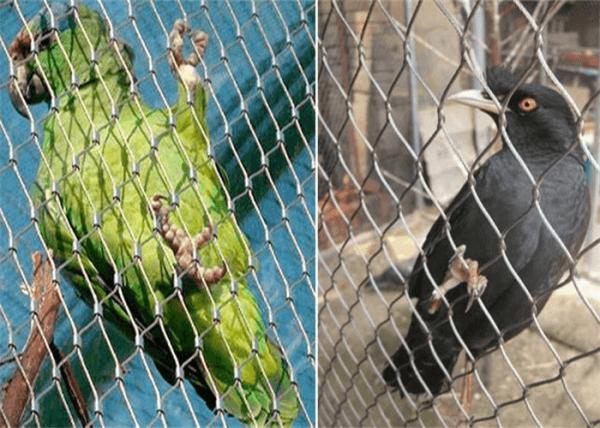 Galvanised PVC Coated Diamond Mesh , Parrot Aviary Netting Stainless Steel