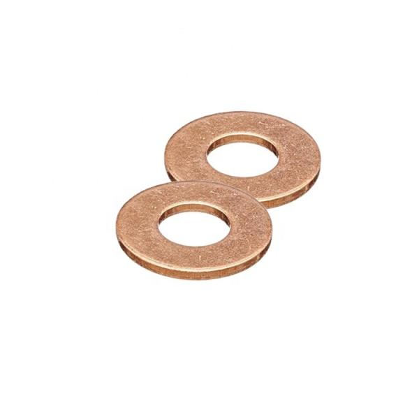 A folha de aço inoxidável de bronze das arruelas 0.5mm do copo do parafuso de M6 M8 carimbou