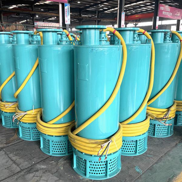 45kW Reliable Submersible Drainage Pumps Ensuring Speedy Drainage and Thorough Water Removal