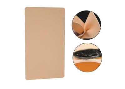 Beige Tattoo Practice Skin Permanent Makeup Blank Practice Skin Products