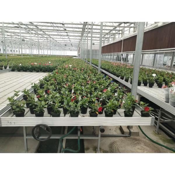 Суды стабилизированного питомника Судов 2.44m-20m потока парника Eco дружелюбного свертывая