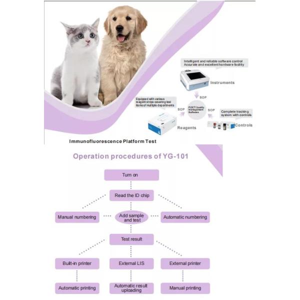 10Min Veterinary Chemistry Analyzer Progesteron Veterinary Medical Supplies Immunofluorescence